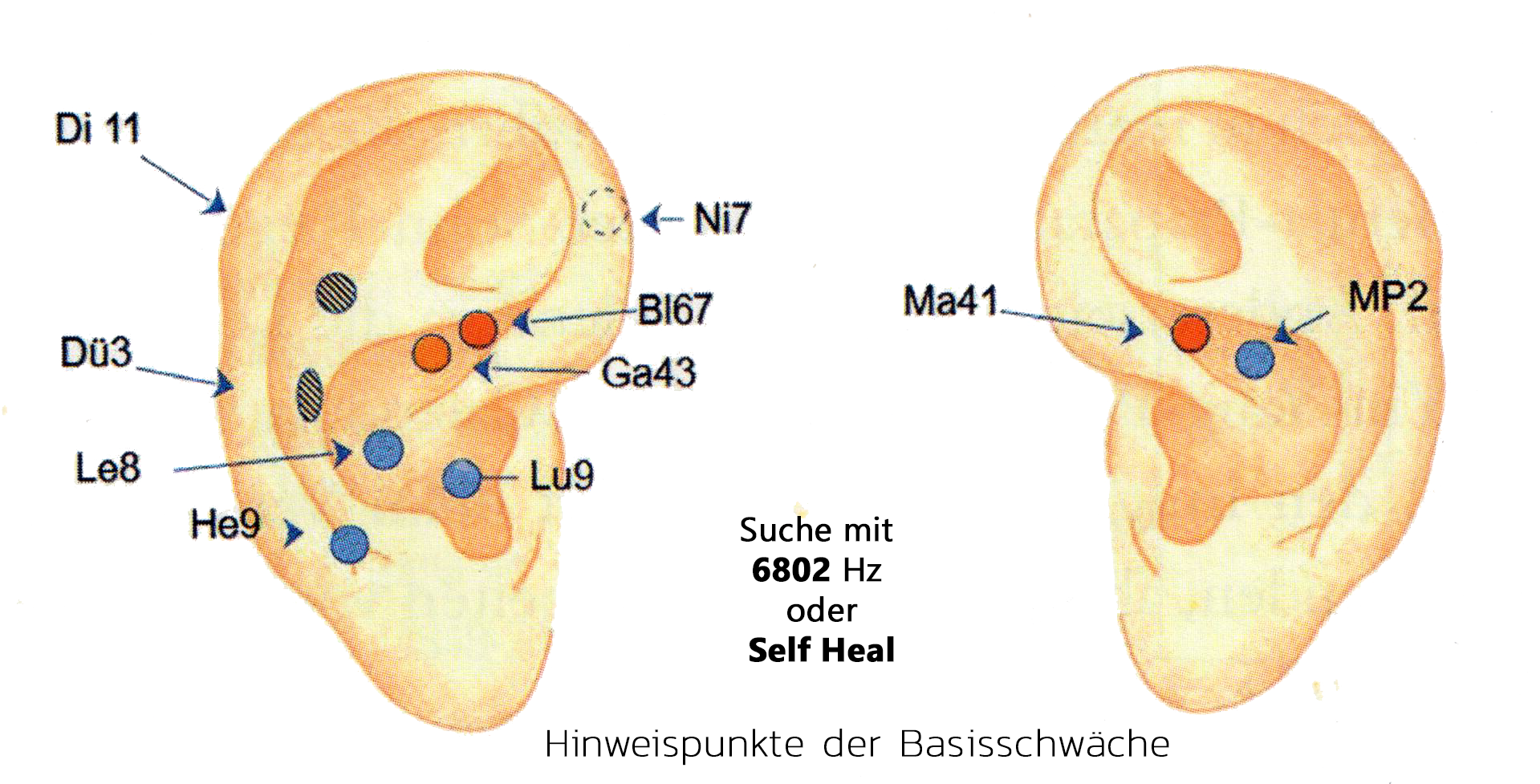 Basisschwäche Basisschwäche